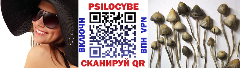 Псилоцибиновые грибы мицелий Богородск
