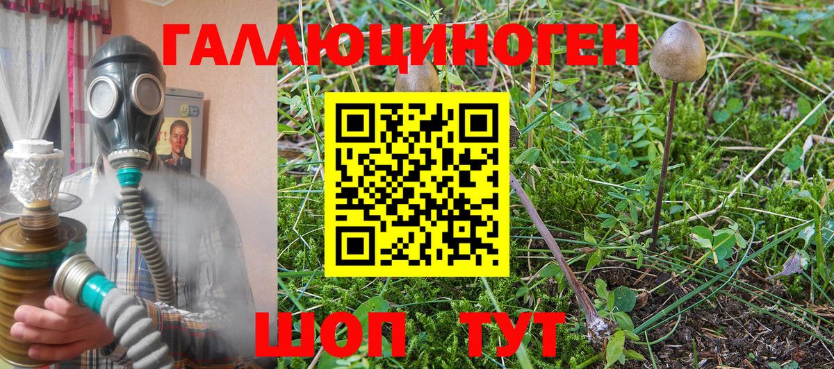 Псилоцибиновые грибы GOLDEN TEACHER  Вход с VPN  Богородск 
